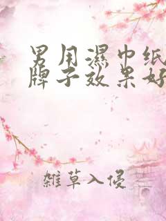 男用湿巾纸哪个牌子效果好