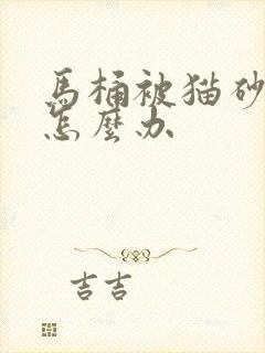 马桶被猫砂堵住怎么办