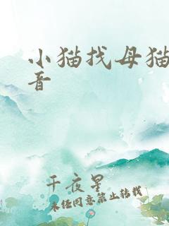 小猫找母猫的声音