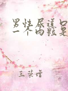 男性尿道口长了一个肉粒是怎么回事