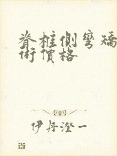 脊椎侧弯矫正手术价格