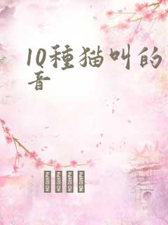 10种猫叫的声音