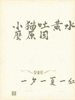 小猫吐黄水是什么原因