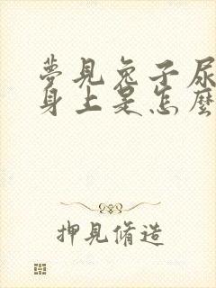 梦见兔子尿到我身上是怎么回事