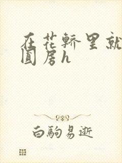 在花轿里就开始圆房h