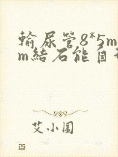 输尿管8*5mm结石能自行排出来吗