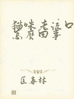 猫咪老流口水是怎么回事