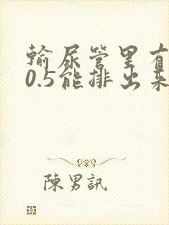 输尿管里有结石0.5能排出来吗