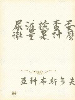 尿液检查蛋白质微量是什么意思