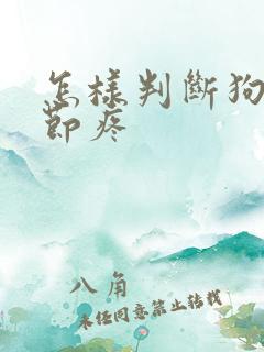 怎样判断狗狗关节疼