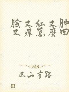 脸又红又肿又疼又痒怎么回事