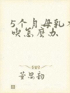 5个月母乳不够吃怎么办