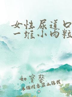 女性尿道口起了一堆小肉粒