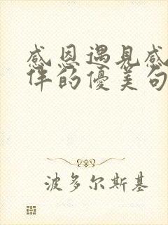 感恩遇见感谢陪伴的优美句子