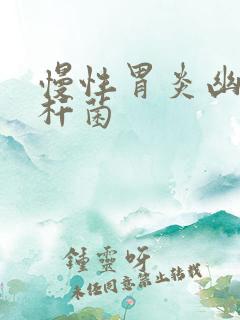 慢性胃炎幽门螺杆菌