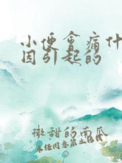 小便会痛什么原因引起的