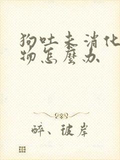 狗吐未消化的食物怎么办