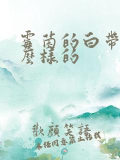 霉菌的白带是怎么样的