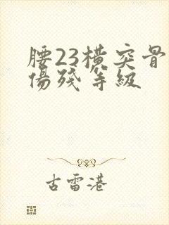 腰23横突骨折伤残等级