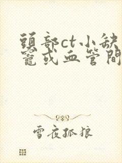 头部ct小缺血灶或血管间隙增宽