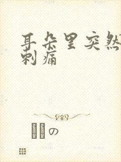 耳朵里突然一阵刺痛