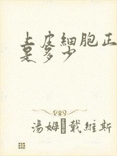 上皮细胞正常值是多少