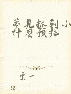 梦见抓到小鱼是什么预兆