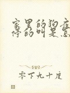 家里的狗夜里不停的叫是怎么回事