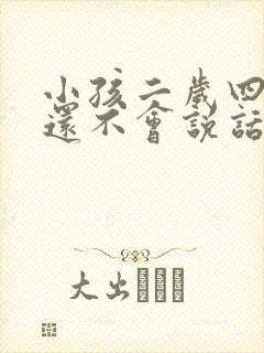 小孩二岁四个月还不会说话