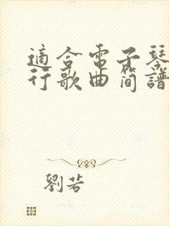 适合电子琴的流行歌曲简谱