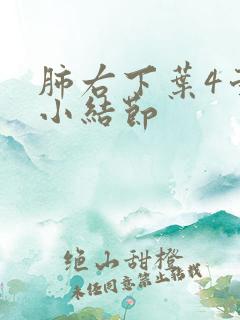 肺右下叶4毫米小结节