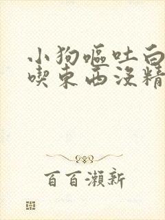 小狗呕吐白沫不吃东西没精神怎么办