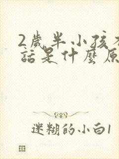 2岁半小孩不说话是什么原因