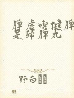 脾虚吃健脾丸还是归脾丸