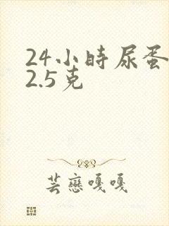 24小时尿蛋白2.5克