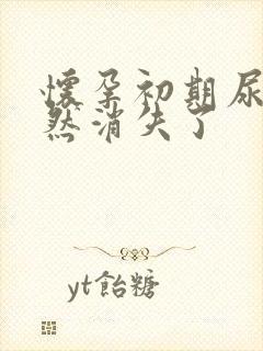 怀孕初期尿频突然消失了