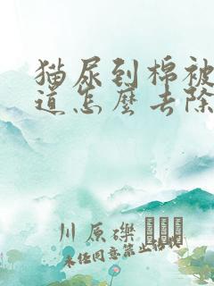 猫尿到棉被上味道怎么去除