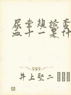 尿常规检查尿潜血十一是什么意思