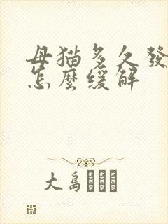 母猫多久发情期怎么缓解