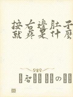 按右边肚子胃部就疼是什么原因