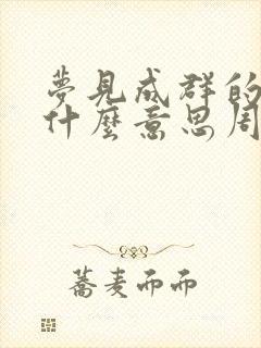 梦见成群的鸡是什么意思周公解梦