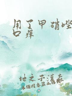 用了甲硝唑阴道口痒