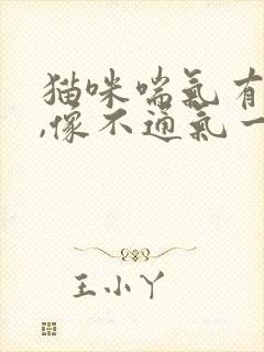 猫咪喘气有声音,像不通气一样