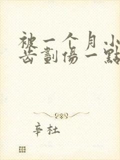 被一个月小狗牙齿划伤一点皮出血有事吗