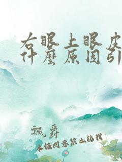 右眼上眼皮肿是什么原因引起的
