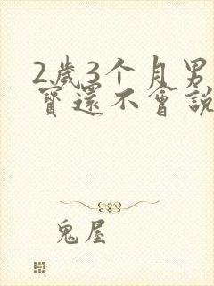 2岁3个月男宝宝还不会说话