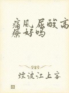 痛风尿酸高能治疗好吗