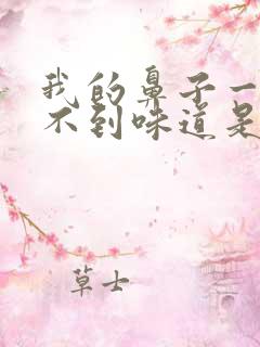 我的鼻子一直闻不到味道是怎么回事