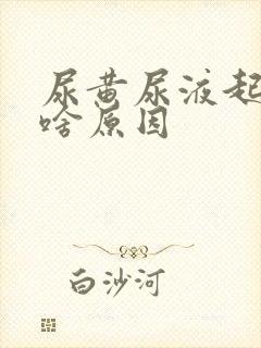 尿黄尿液起泡是啥原因