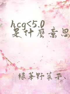 hcg<5.0是什么意思
